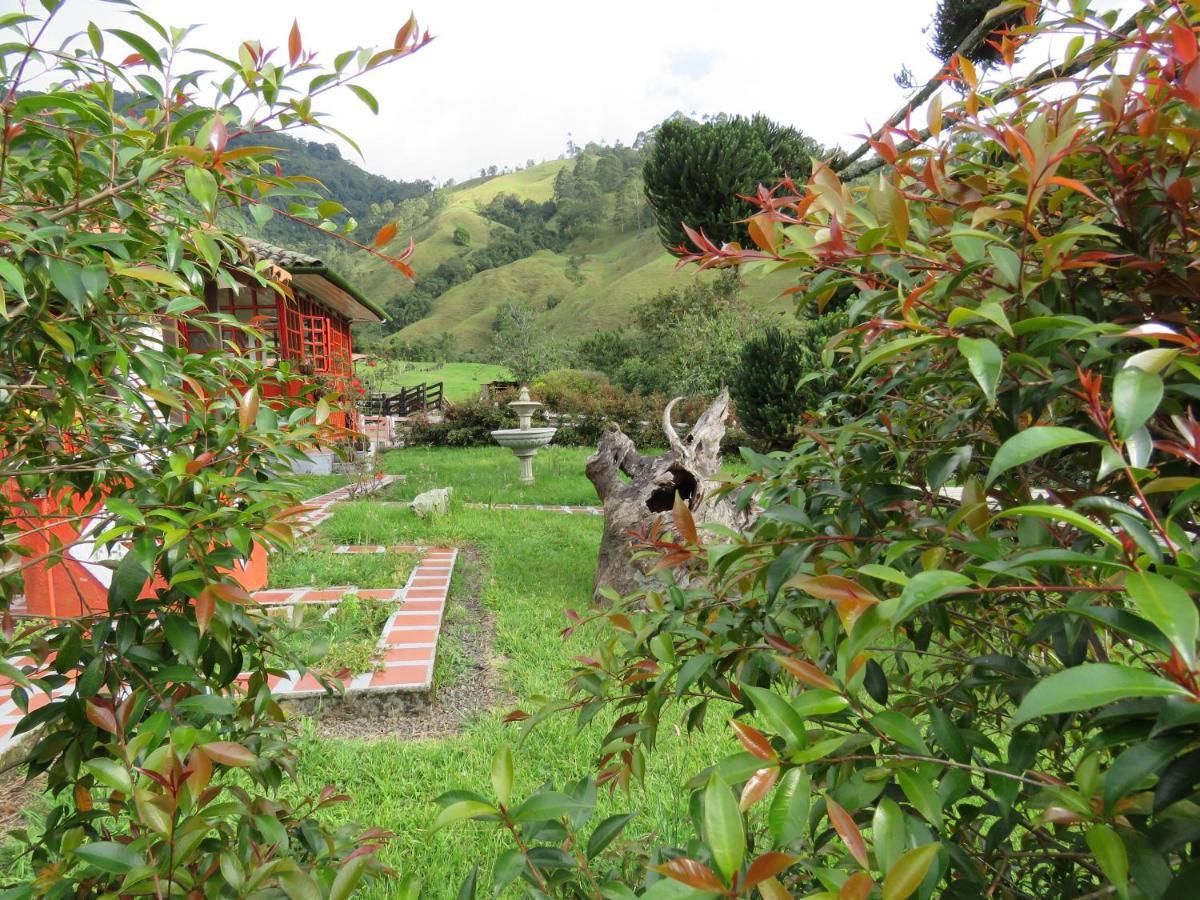 Ecohotel Pinohermoso Reserva Natural Саленто Екстер'єр фото