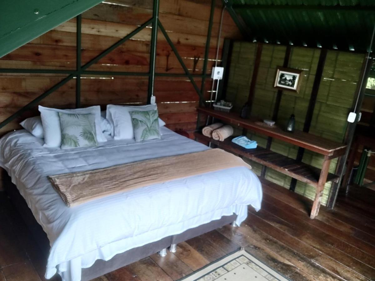 Ecohotel Pinohermoso Reserva Natural Саленто Екстер'єр фото