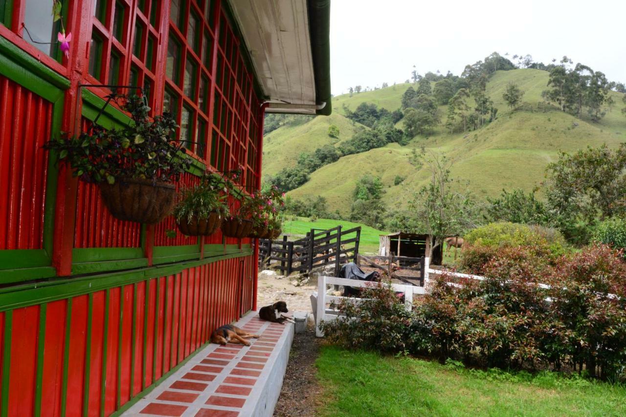 Ecohotel Pinohermoso Reserva Natural Саленто Екстер'єр фото