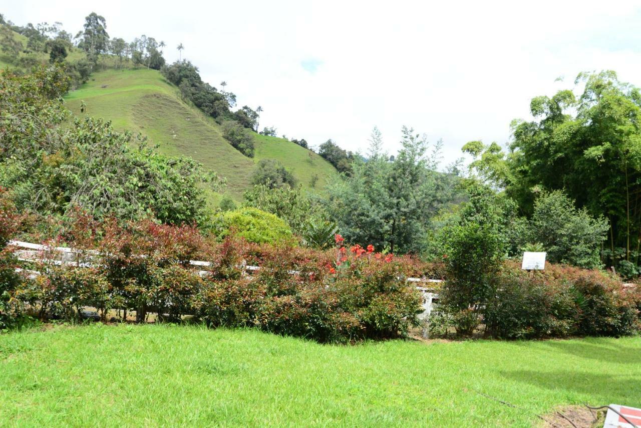 Ecohotel Pinohermoso Reserva Natural Саленто Екстер'єр фото